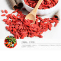 Dried red goji berries